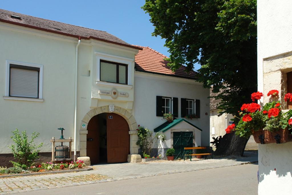 Winzerzimmer - Weingut Tinhof Айзенштадт Экстерьер фото