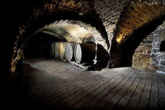 Winzerzimmer - Weingut Tinhof Айзенштадт Экстерьер фото