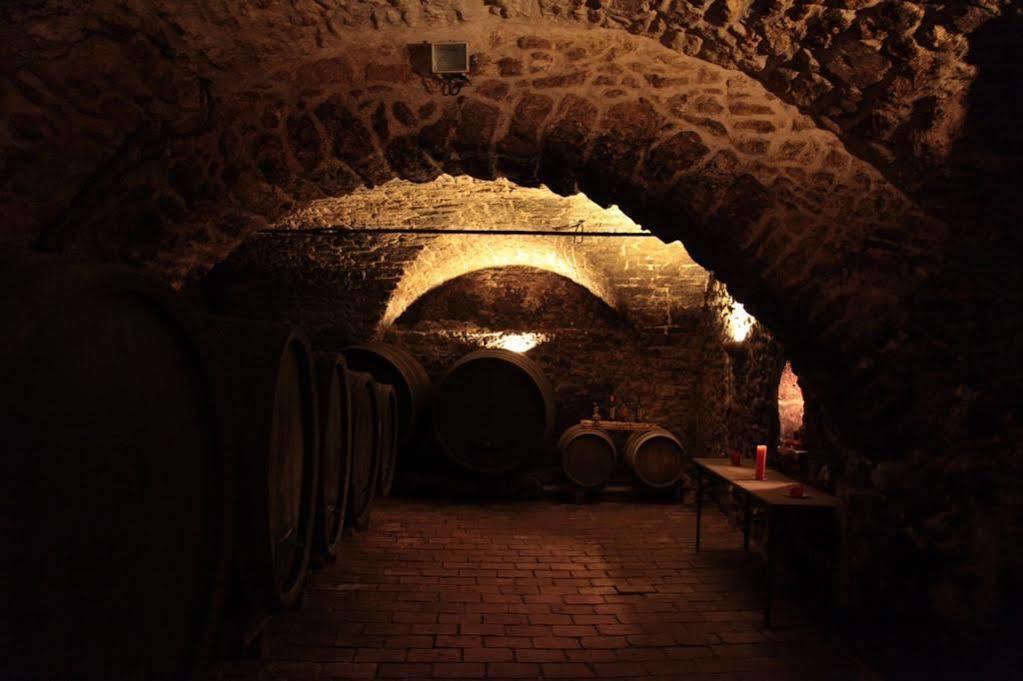 Winzerzimmer - Weingut Tinhof Айзенштадт Экстерьер фото